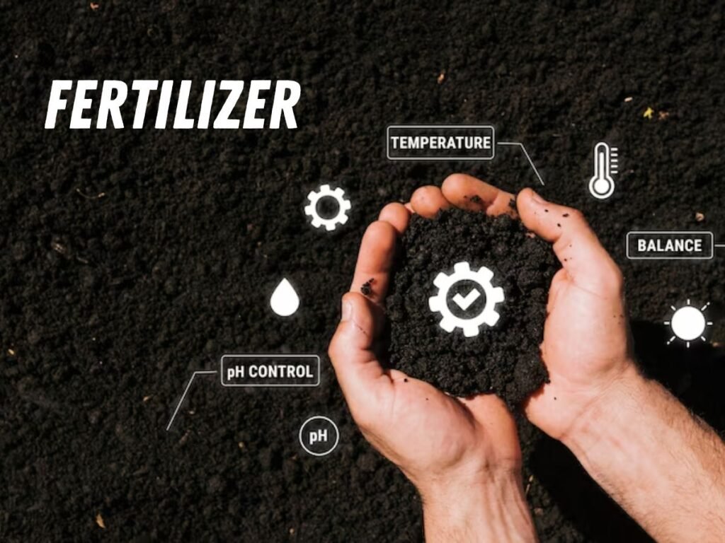 Cultivating Growth The Role of Fertilizer